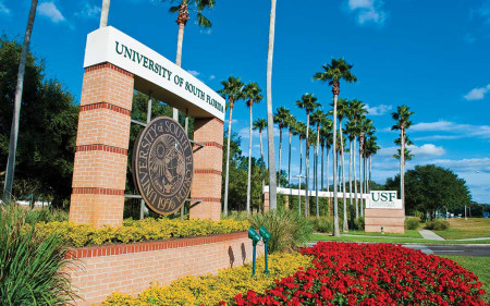 University of South Florida-2