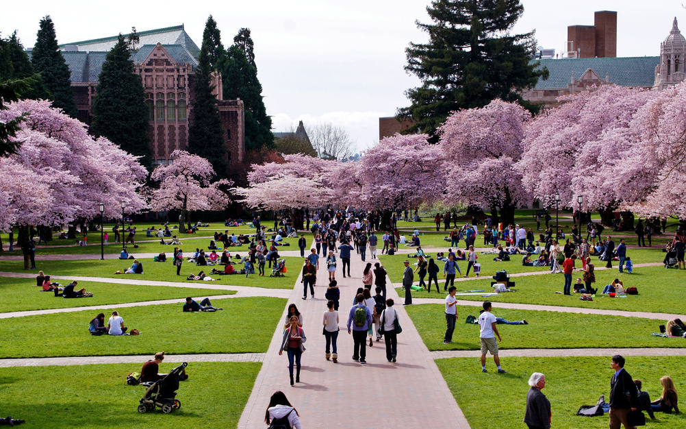 University of Washington拷貝